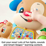Fisher Price Laugh and Learn Baby Puppy Walker